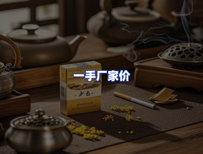 专业团队